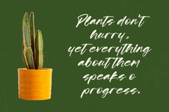 Scatqin Bounty - Bold Brush Font Script Product Image 16