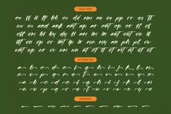 Scatqin Bounty - Bold Brush Font Script Product Image 19