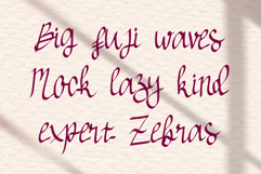 Scaluna - A Friendly Script Font Product Image 2