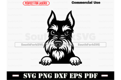 Peeking Schnauzer Dog SVG PNG DXF EPS PDF Product Image 1