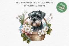 Schnauzer Cute Puppy Baby Dog in Basket Animals Clipart PNG Watercolor Transparent Print t-shirt designs sublimation kids printable digital nursery wall art watercolor Baby dog png, watercolor Schnauzer puppy clipart, sublimation nursery drawing