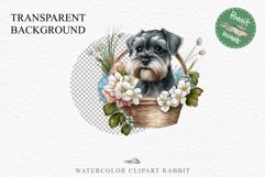 Schnauzer Cute Puppy Baby Dog in Basket Animals Clipart PNG Watercolor Transparent Print t-shirt designs sublimation kids printable digital nursery wall art watercolor Baby dog png, watercolor Schnauzer puppy clipart, sublimation nursery drawing