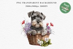 Schnauzer Cute Puppy Baby Dog in Basket Animals Clipart PNG Watercolor Transparent Print t-shirt designs sublimation kids printable digital nursery wall art watercolor Baby dog png, watercolor Schnauzer puppy clipart, sublimation nursery drawing