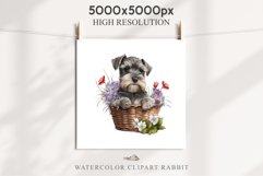 Schnauzer Cute Puppy Baby Dog in Basket Animals Clipart PNG Watercolor Transparent Print t-shirt designs sublimation kids printable digital nursery wall art watercolor Baby dog png, watercolor Schnauzer puppy clipart, sublimation nursery drawing