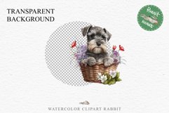 Schnauzer Cute Puppy Baby Dog in Basket Animals Clipart PNG Watercolor Transparent Print t-shirt designs sublimation kids printable digital nursery wall art watercolor Baby dog png, watercolor Schnauzer puppy clipart, sublimation nursery drawing