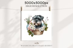 Schnauzer Cute Puppy Baby Dog in Basket Animals Clipart PNG Watercolor Transparent Print t-shirt designs sublimation kids printable digital nursery wall art watercolor Baby dog png, watercolor Schnauzer puppy clipart, sublimation nursery drawing