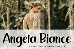 School Delightful Product Image 4