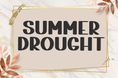 School Dropout Product Image 6