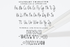 School Mission Product Image 5