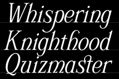 Schriftolia Elegant Serif Italic Product Image 2