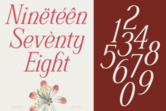 Schriftolia Elegant Serif Italic Product Image 6