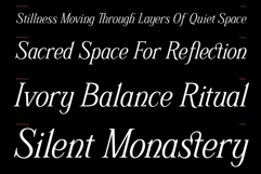 Schriftolia Elegant Serif Italic Product Image 7