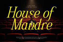 Schriftolia Elegant Serif Italic Product Image 8