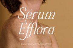 Schriftolia Elegant Serif Italic Product Image 10