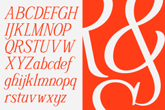 Schriftolia Elegant Serif Italic Product Image 4