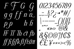 Schriftolia Elegant Serif Italic Product Image 11