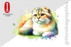 Scottish Fold Cat Clipart - PNG File Product Image 1