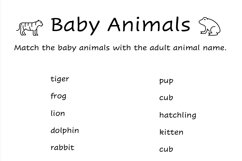 Baby Animal Worksheets Product Image 3