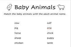 Baby Animal Worksheets Product Image 2