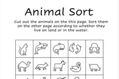 Animal Sort Product Image 2