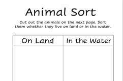 Animal Sort Product Image 3