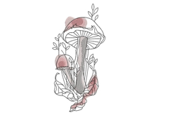 Mushroom Machine Embroidery Design Product Image 1