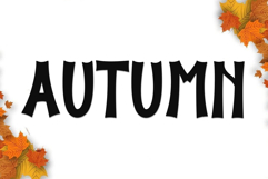 Script Alphabet Product Image 2