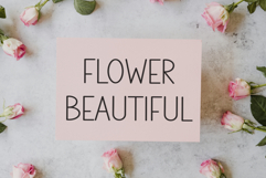 Script Project Product Image 3