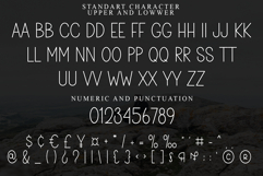 Script Project Product Image 5