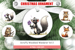 Scruffy Woodland Wanderers Ornament Product Image 1