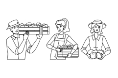 farmer apple picking vector Product Image 1