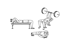 chinup fitness exercises arm vector Product Image 1