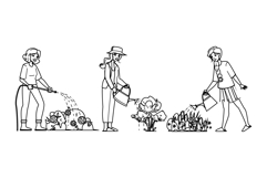 water garden woman watering vector Product Image 1