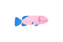Underwater Clipart Cartoon Ocean Fish Sea Life PNG Product Image 2