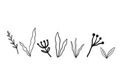 Fish Ocean Life Clipart. Under the sea Product Image 8