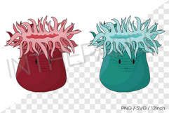 Cute sea anemone PNG SVG clipart marine life cartoon illust Product Image 1
