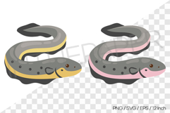 Yellow and Pink Electric Eel Vector Clipart Illustration Sea Product Image 1