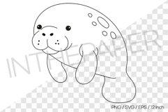 Manatee Outline Coloring Page Clipart SVG EPS PNG Sea Animal Product Image 1