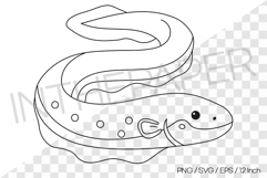 Electric Eel Outline Coloring Page Clipart SVG EPS PNG Sea Product Image 1