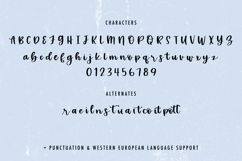 Sea Mist Script Product Image 10