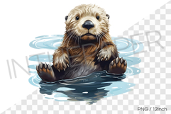 Sea otter floating on its back on water PNG clipart marine Product Image 1