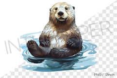 Smiling sea otter floating on water PNG marine sea animal Product Image 1