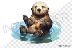 Sea otter with a single stone on belly PNG clipart animal Product Image 1