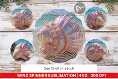 Wind Spinner Beach Shell Product Image 1