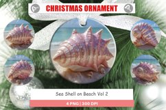 Christmas Ornaments Beach Shell Product Image 1