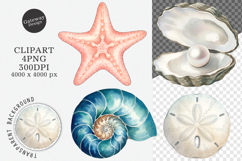 Sea Shells Clipart PNG -Sea Shells Clipart Product Image 1