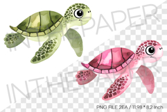 Green Pink Sea Turtle PNG Clipart Summer Ocean Watercolor Product Image 1