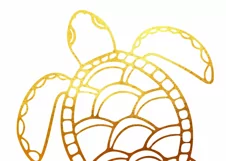 Sea Turtle Svg, Ocean SVG, Turtles for Cricut, Sea animals Product Image 2