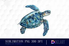 Sea Turtle PNG Clipart Product Image 1