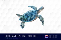 Sea Turtle PNG Clipart Product Image 1